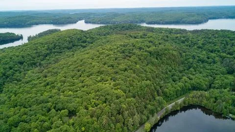 High Aerial View of Dense Forest Hills Winding Road and Lake of Bays Landscap Stock-Fotos