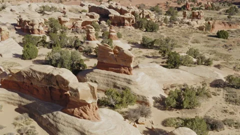 High aerial view of Devil's Garden rock formations in Escalante Utah BLM Land 스톡 동영상 248558185