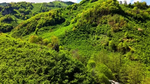 High Aerial View of Forest Covered Mountains with Flowing River Stock Footage 337709165