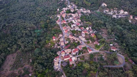 High aerial view over lush green olive groves and traditional historic houses Video stock 345002165