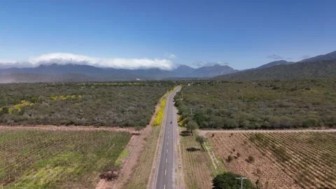 High Aerial View of Straight Road Passing Vineyards Toward Andes Mountains, Salt Stock Footage 343673026