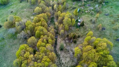 High Aerial View of Tiny Off Grid Bunkie and Shed by Forested Creek Valley Foto stock