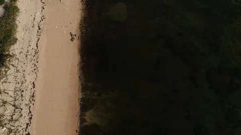 High Aerial View of West End Bay Shoreline, Grand Bahama Bahamas Stock Footage 95768353
