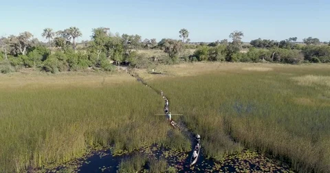 High aerial zoom out view of tourists heading out on a Mokoro safari along the Stock Footage 78211053