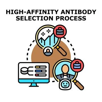 High affinity antibody selection process concept Stock Illustration