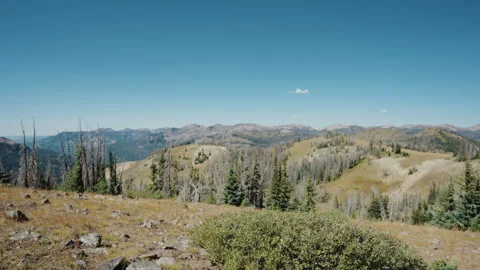 High alpine ridge with dead spruce forest in Colorado mountains Video stock 348023713