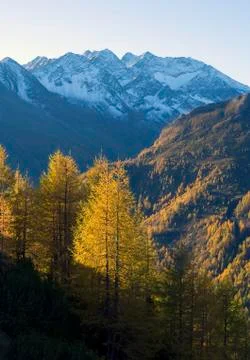 High alps at fall austria Foto stock
