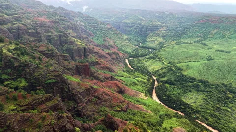 High-altitude aerial drone view of the layered red rock of the canyon with green Stock Footage 344988167
