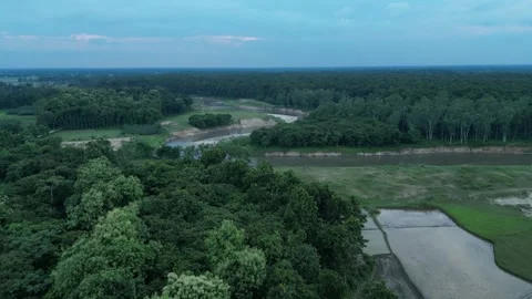 High altitude aerial view of dense forest canopy, winding river and flooded.. Vídeo Stock 342763472