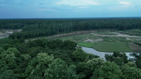 High altitude aerial view of winding river flowing past dense green forest .. Video stock 342763352