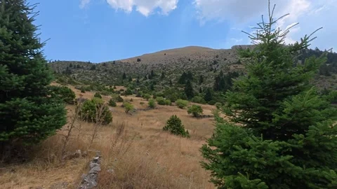 High altitude alpine field with sparse vegetation under overcast sky Stock Footage 327560391