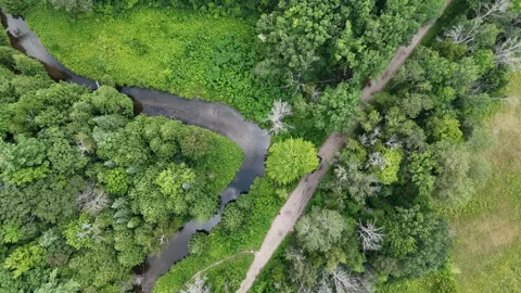 High Altitude Drone Descent Over River Winding Through Dense Forest Video stock 314805314
