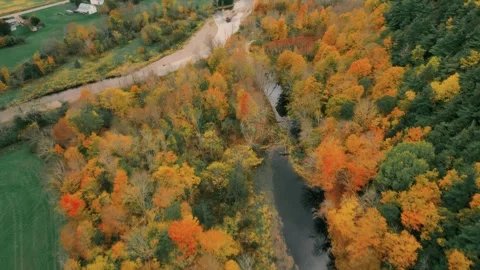 High Altitude Drone Flight Above River And Forest Full Of Fall Colours Stock-Footage 255059956