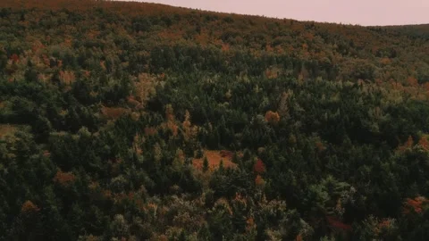 High Altitude Drone Flight Over Beautiful Canyon With A Sea Of Trees Stock Footage 255045423