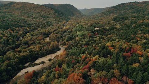 High Altitude Drone Flight Over A River At The Bottom Of A Canyon Stock Footage 255045427