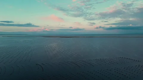 High Altitude Drone Flight Over An Oyster Farm In The Atlantic Ocean At Sunset Stock-Footage 255145364