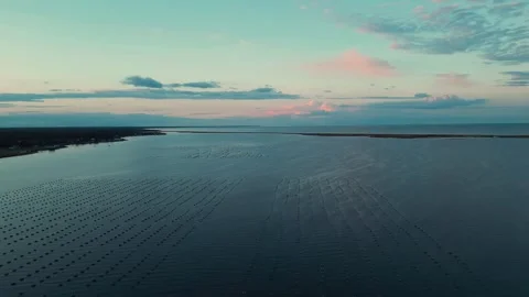 High Altitude Drone Flight Over Oyster Traps In The Atlantic Ocean At Sunset Video stock 255145386