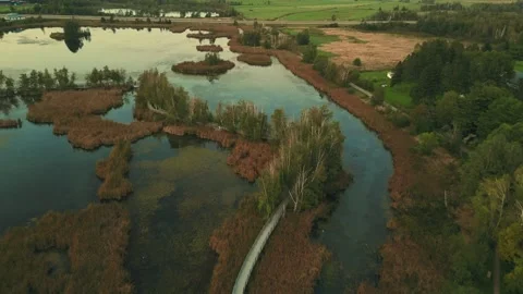 High Altitude Drone Flight Over Marsh With Trees And Road Stock-Footage 255310803