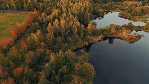 High Altitude Drone Flight Over Colourful Forest With Ponds Of Water Throughout Stock Footage 255350194