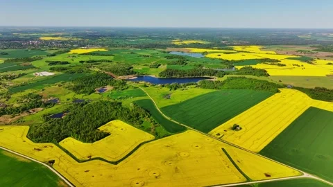 High Altitude Drone Flight Over Green And Yellow Fields In Latvian Countryside 스톡 동영상 328836165