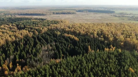 High altitude drone flying over autumn landscape Vidéo 323875388