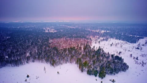 High-altitude drone footage of Michigan’s Upper Peninsula buried in fresh snow Vídeos de archivo 334765671