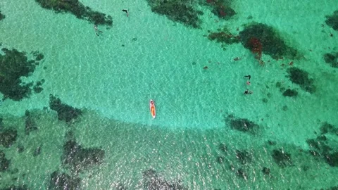 High altitude drone pull back over transparent sea with moss bed 4K Stock Footage 336040106