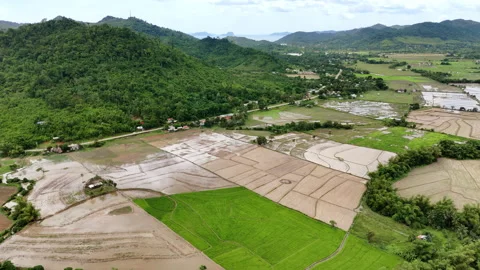 High-altitude drone push-in shot of rice fields in Taytay, Palawan, Philippines, Stock Footage 336685558