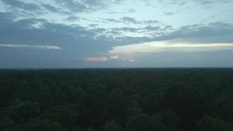 High altitude drone shot of serene twilight sky and horizon over endless tr.. Vídeo Stock 344953673