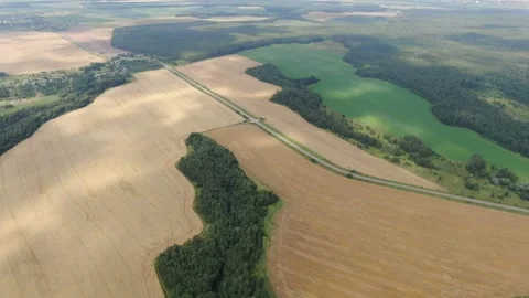 High altitude drone view over farmland and forest 動画素材 333182981
