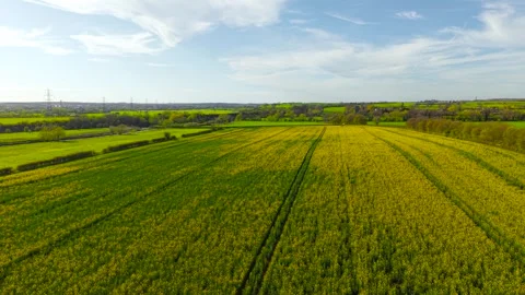 High altitude drone view over patchwork fields with blooming rapeseed and rural Stock-Footage 333580412
