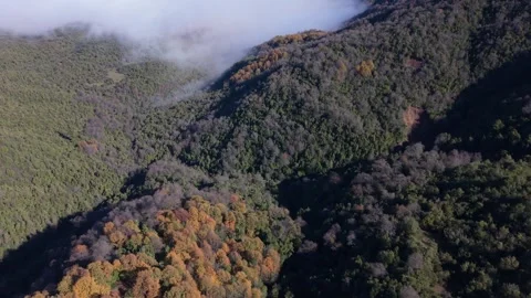 High altitude flight over a mixed autumn forest with scattered patches of Stock Footage 344534723
