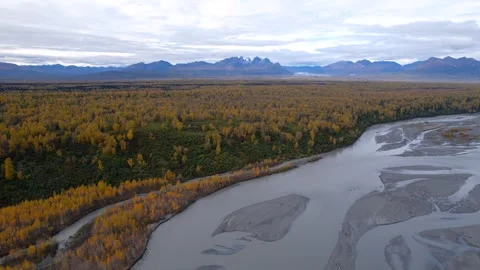 High altitude flight over a wide braided river and a vast alaskan forest Stock Footage 327946670