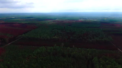 High altitude forward tracking of dark green forest, Gironde Stock Footage 332065648