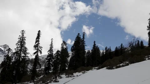 High Altitude Himalayan Forest Covered in Snow During Winter Season Stock Footage 347125166