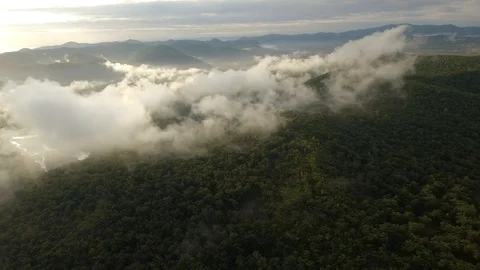 High altitude mountain scenery through clouds steam Green forest trees nature    Stock Footage 99015622