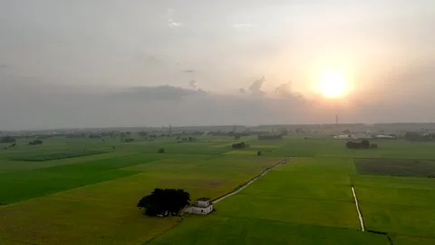 High Altitude Panoramic Drone Shot of Vast Punjab Fields Stockbeeldmateriaal 333069994
