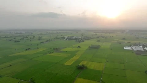 High Altitude Panoramic Drone Shot of Vast Punjab Fields. Video stock 333070000