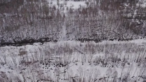 High Altitude Perspective Showcasing Winter Forest Along Rivers With Frosty Stock Footage 325982126