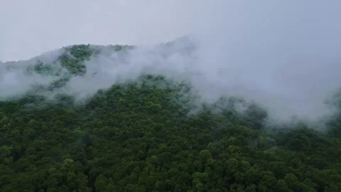High-altitude terrain. A mountain in the clouds. High peak. Clouds around the 스톡 동영상 263442358