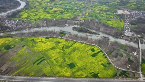 High-altitude top-down drone flight over blooming Kashmir Mustard fields. Stock Footage 333794769