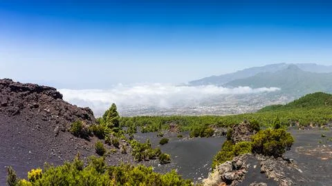 High altitude view of cloud sea and pine forests over volcanic terrain in L.. Stock Photos