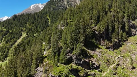 High Altitude View of Forested Ridge and Rocky Slopes Stock Footage 343066928