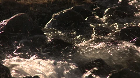 High Andes Glacier Stock Footage 40841406