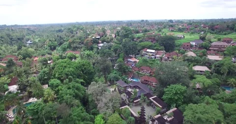 HIGH ANGLE 4K AERIAL FLY OVER OF UBUD CITY IN BALI INDONESIA Stock Footage 59779045