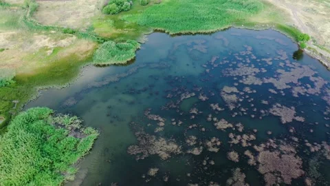 High angle 4K shot of swamp lake in Mughni, Armenia Stock Footage 145467293