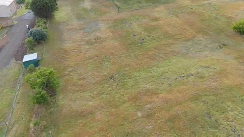 High-angle aerial of alpacas grazing and the township of Maydena, Tasmania. Vídeo Stock 332542431