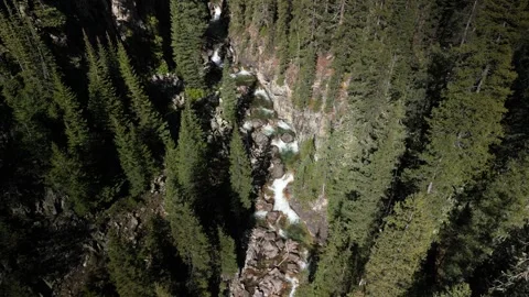 High angle aerial of Crystal River near Marble Colorado between pine trees Stock Footage 250928237