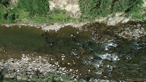 High Angle Aerial Drone Shot Of Raging River In A Forest Stock Footage 101491595