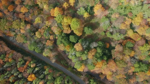 High Angle Aerial Drone Shot of Rural Road with Beautiful Fall Leaf Colors Stock Footage 143220721